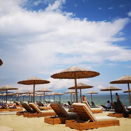 Emotion 艾斯普罗瓦塔